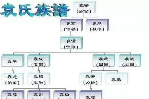 袁绍生平简介 袁绍家族如何走向没落?