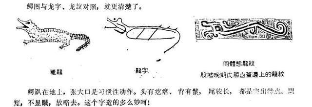 孔甲养龙是真的吗?揭秘孔甲养龙的故事