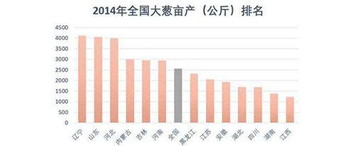 山东人为什么喜欢生吃大葱?历史上山东人和大葱竟有这样的渊源