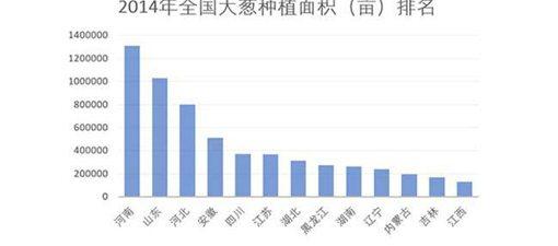 山东人为什么喜欢生吃大葱?历史上山东人和大葱竟有这样的渊源